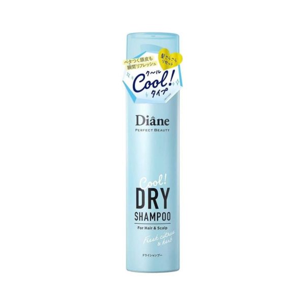 Diane Dry Shampoo + the body